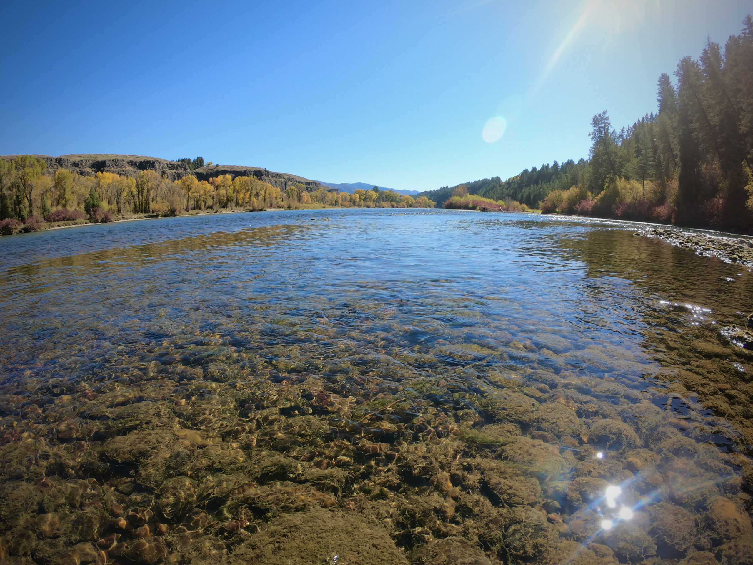 Fly Fishing outside of Bozeman in the autumn